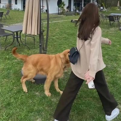 铁拳:即刻复仇